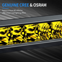 Aurora LED პროჟექტორი