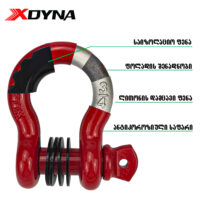 XDYNA-ს D-Ring შაკლი